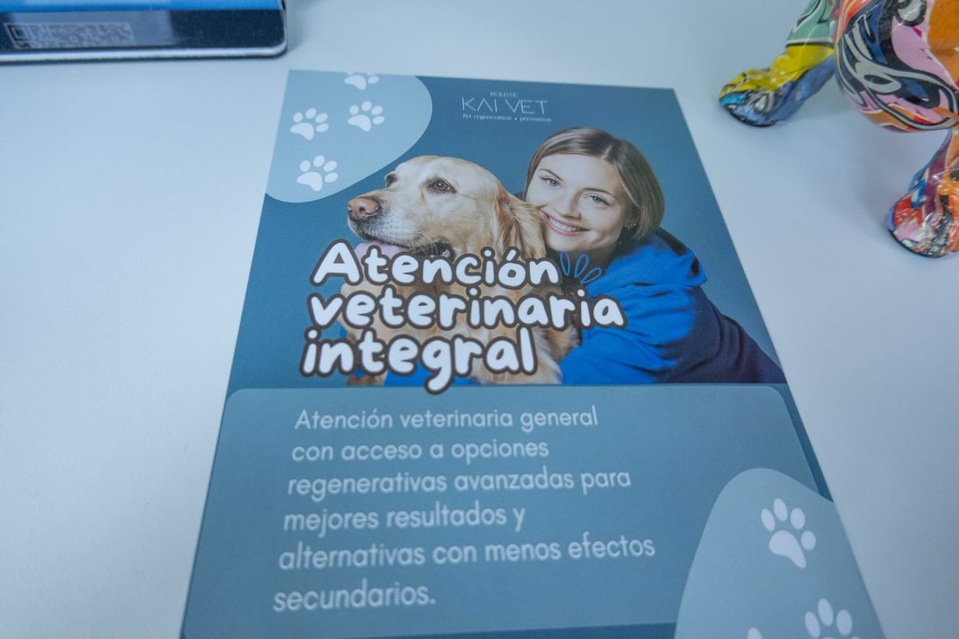 618545834_17862258747577213_2952752273270673427_n