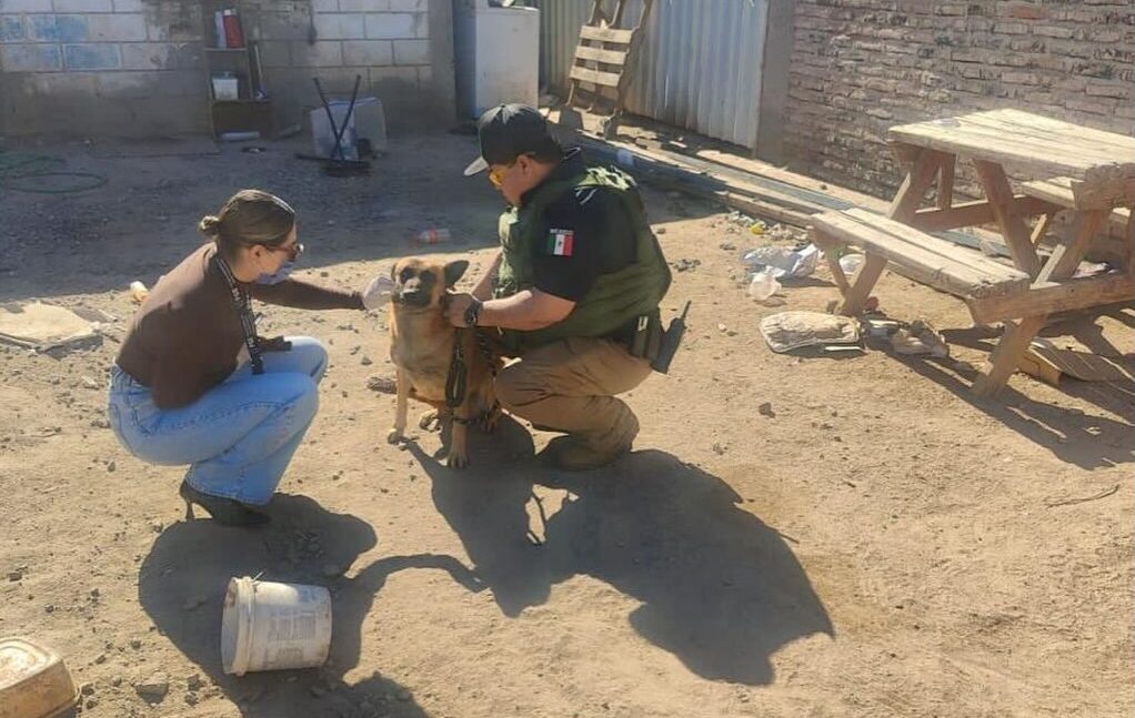 619429301_17862252306577213_3368380284280987855_n