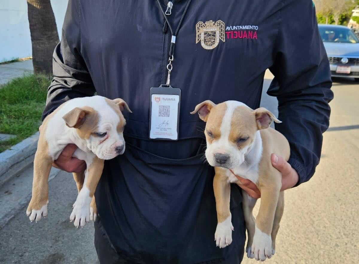 627369282_17864558034577213_1429620239881649814_n